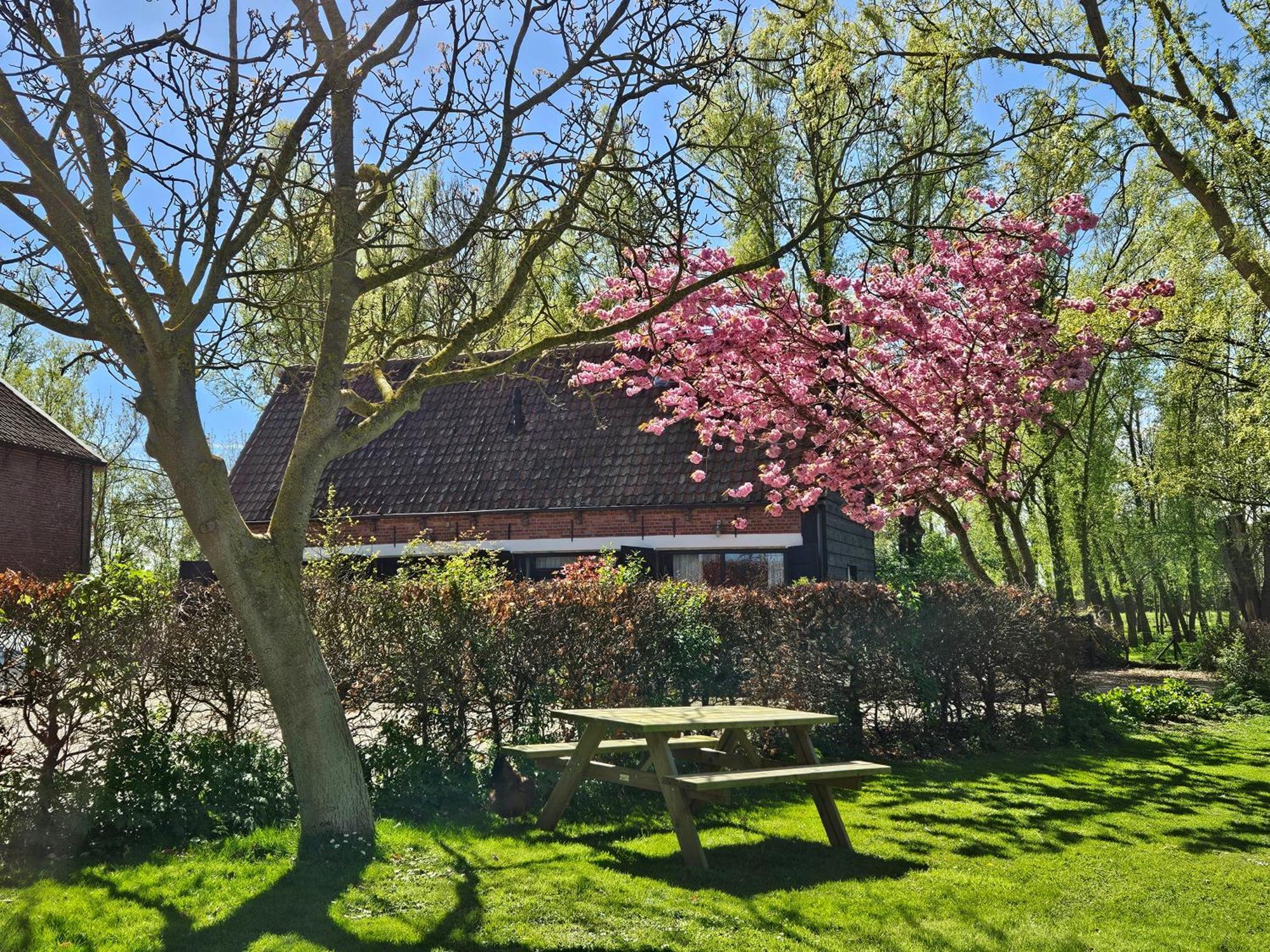 De Zeeuwsche Hoeve Kerkwerve Exterior foto