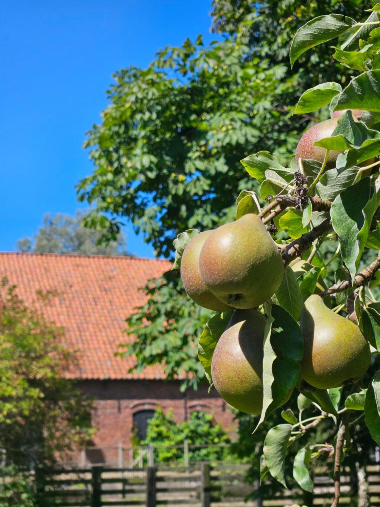 De Zeeuwsche Hoeve Kerkwerve Exterior foto