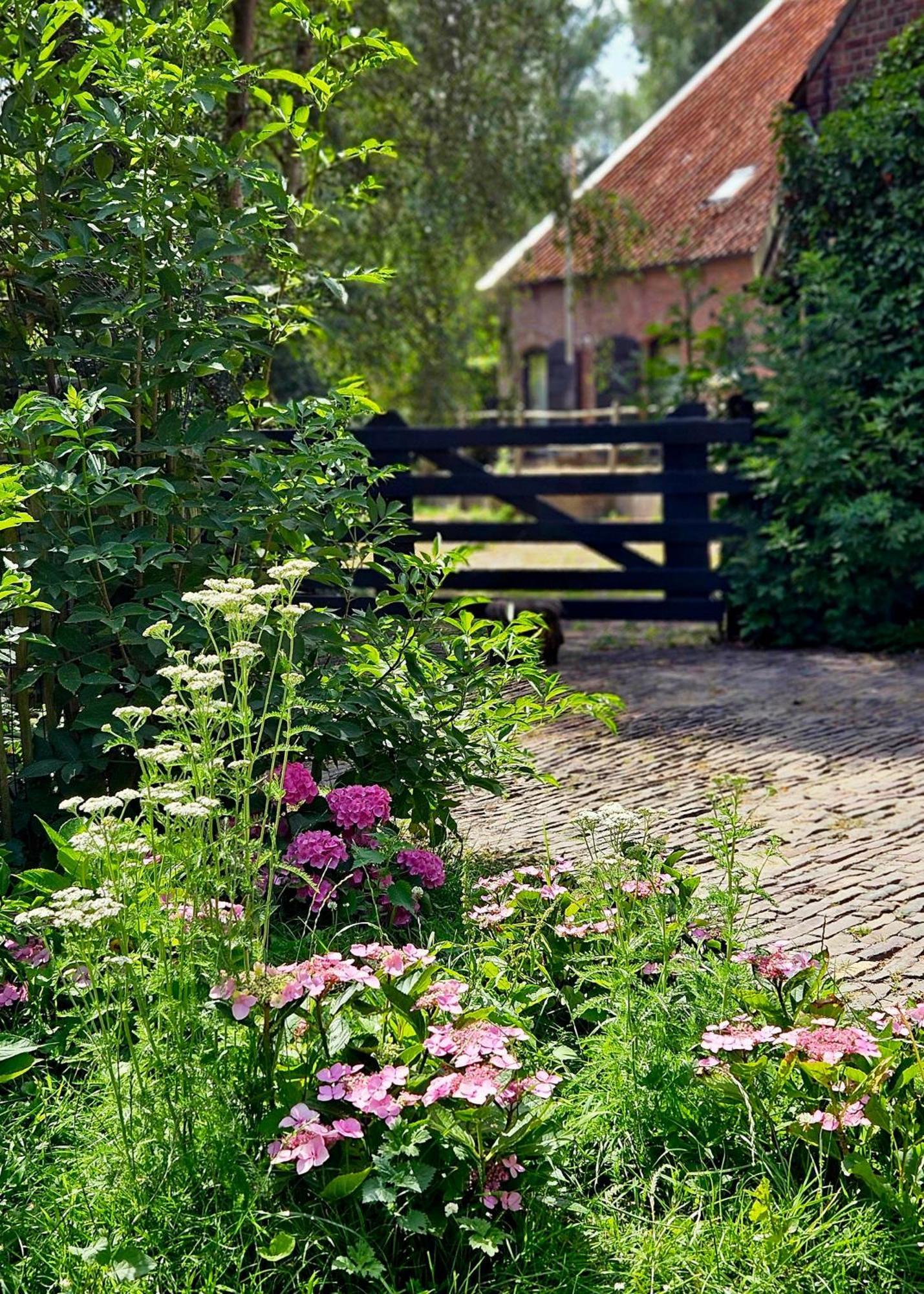 De Zeeuwsche Hoeve Kerkwerve Exterior foto